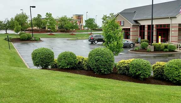 Commercial Landscape Tree Service & Property Maintenance