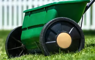 Lawn Overseeding